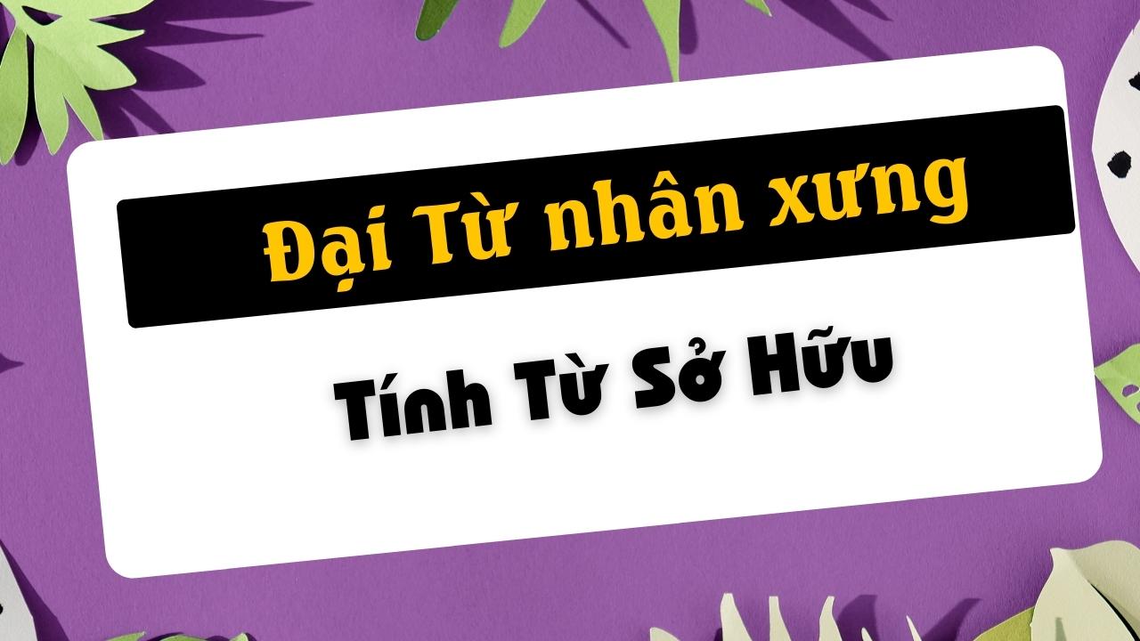 Tính từ sỡ hữu, đại từ nhân xưng, đại từ chỉ định